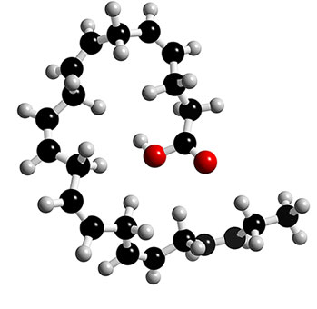 DHA (Docosahexaenoic Acid、二十二碳六烯酸)