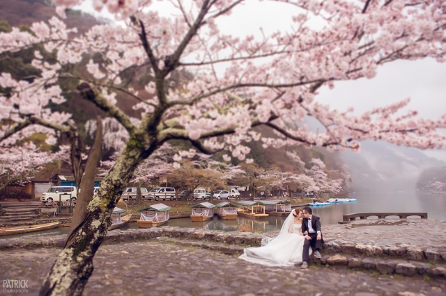 櫻花樹下的pre-wedding