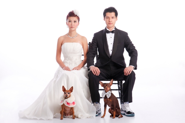  - Yoshi & Julian Pre-wedding photos - WGallery - , , , , , , , , , , 藝術, 寵物/毛公仔