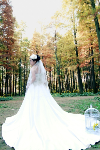  - Pre-wedding@SHANGHAI - AM430 - , , , , , , , , , , 自然, 櫻花/紅葉