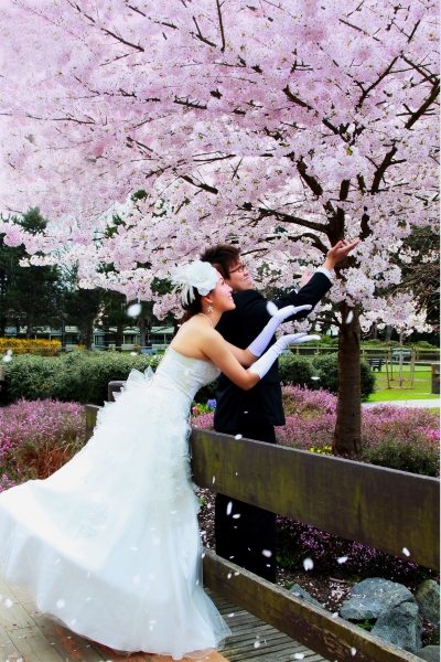  - Kylie & Mark Pre Wedding Photo - KylieNg - , , , , , , , , , , 自然, 櫻花/紅葉