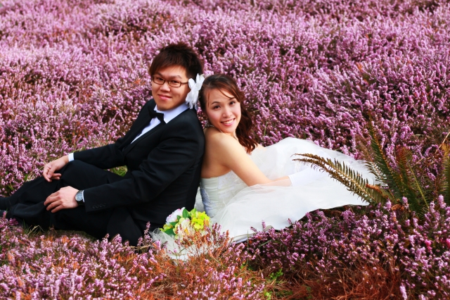  - Kylie & Mark Pre Wedding Photo - KylieNg - , , , , , , , , , , 自然, 花田(如油菜花、波斯菊等)