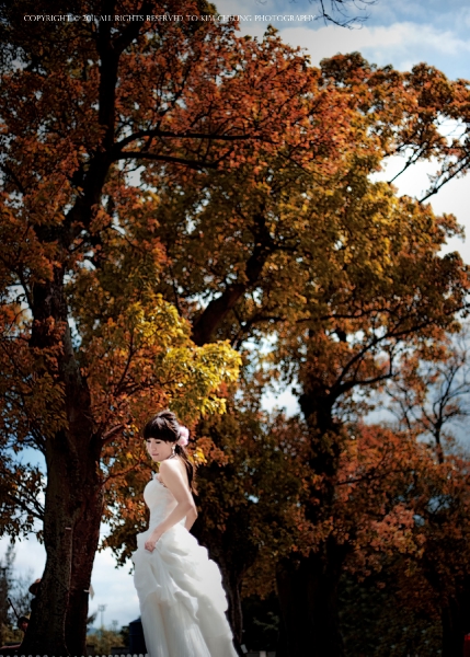  - Pre-Wedding - kim-cheung - , , , , , , , , , , 自然, 櫻花/紅葉