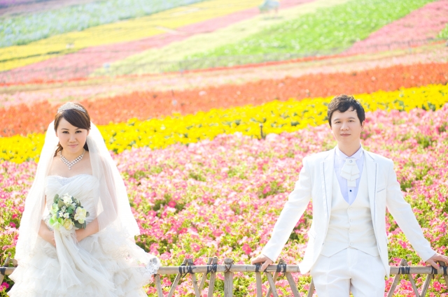  - Pre-Wedding - May愛無憂 - , , , , , , , , , , 藝術, 花田(如油菜花、波斯菊等)