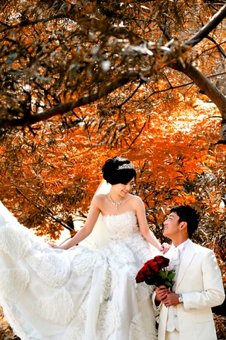  - Tw Pre-wedding Photos - pp - , , , , 台中, , , , , , 自然, 櫻花/紅葉