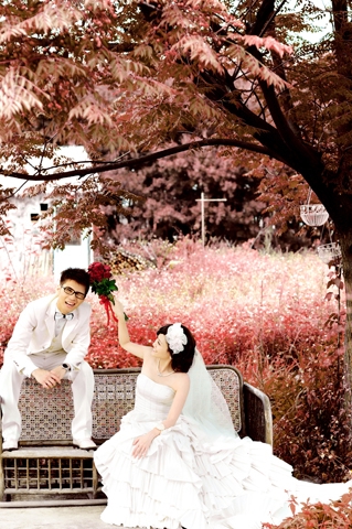  - B&T Pre-wedding photo - 彤彤 - , , , , 台北, , , , , , 台式, 櫻花/紅葉