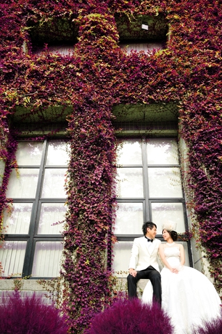  - OUR'S PRE WEDDING - Ericalai - , , , , 台中, , , , , , 自然, 宏偉建築