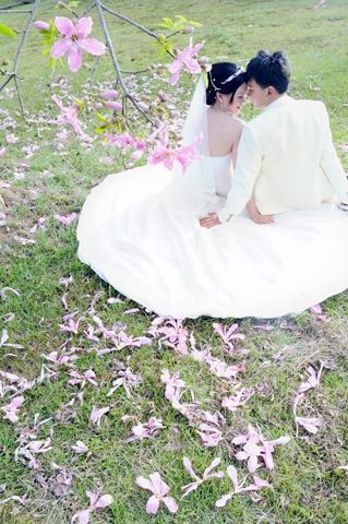  - Pre-Wedding @MasaLiLi(TW) - Carrielo - , , , , , , , , , , 自然, 花田(如油菜花、波斯菊等)
