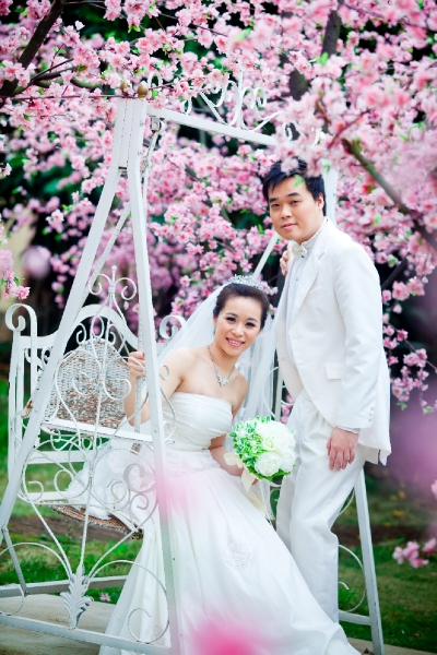  - my pre-wedding - sueleung - , , , , 深圳, , , , , , 自然, 櫻花/紅葉