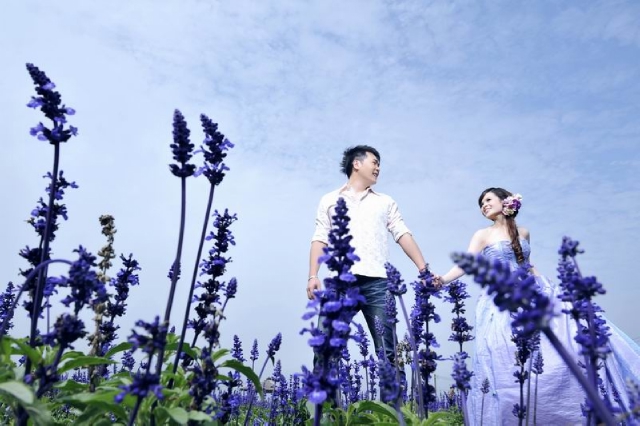  - 車站+花海+海景PRE WEDDING PHOTO - muffin.com - , , , , , , , , , , 自然, 薰衣草