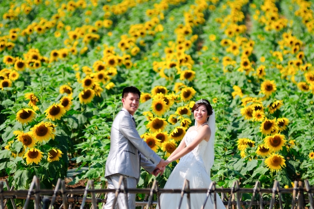  - Pre-Wedding - wing1120 - , , , , , , , , , , 自然, 花田(如油菜花、波斯菊等)