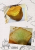 麵包天天新鮮做: 第7機 柚子蜜吐司   16-9-2012
