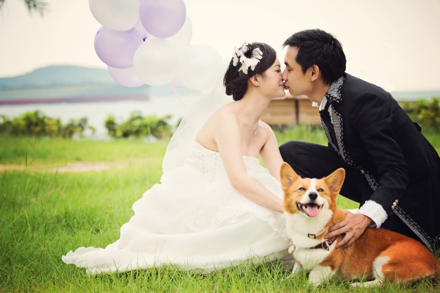  - 分享最美婚照 - 香港 - pokipoki - , , 好多間都係free pre-wedding, , 全香港, , , , , , 自然, 鬧市