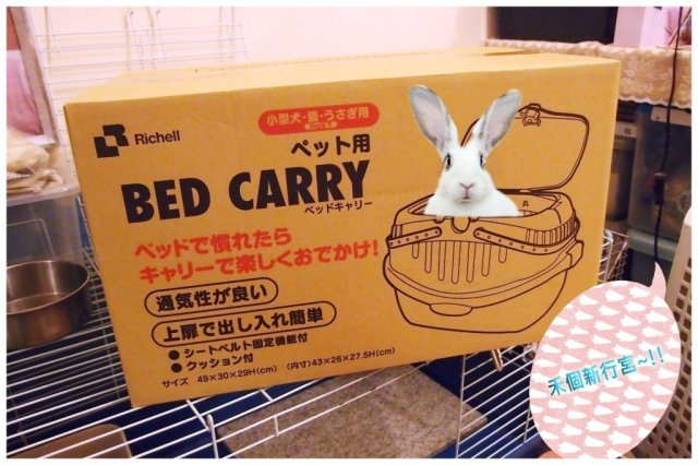 兔兔 - 出街箱