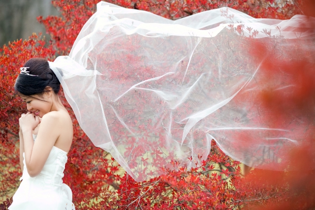  - 分享最美婚照@日本 - kokovic - VICKO, DANNY, TI Wedding Photo, , 輕井澤, , , , , , 自然, 櫻花/紅葉