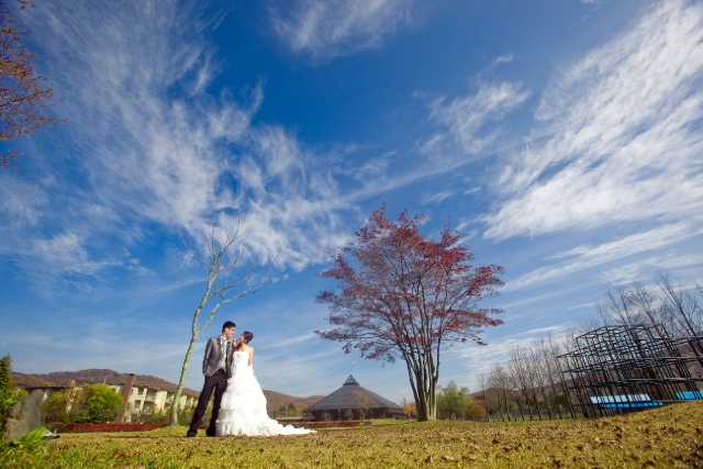  - 分享最美婚照@日本 - kokovic - VICKO, DANNY, TI Wedding Photo, , 輕井澤, , , , , , 自然, 櫻花/紅葉