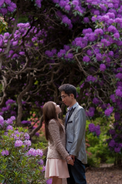  - Causal London Prewedding - Joserinu - , , -, , 歐洲, , , , , , 自然, 花田(如油菜花、波斯菊等)