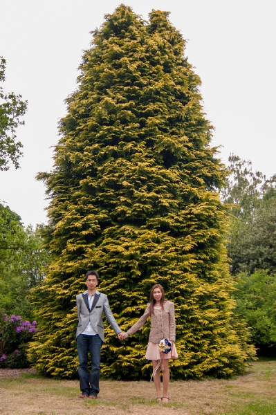  - Causal London Prewedding - Joserinu - , , -, , 歐洲, , , , , , 自然, 花田(如油菜花、波斯菊等)