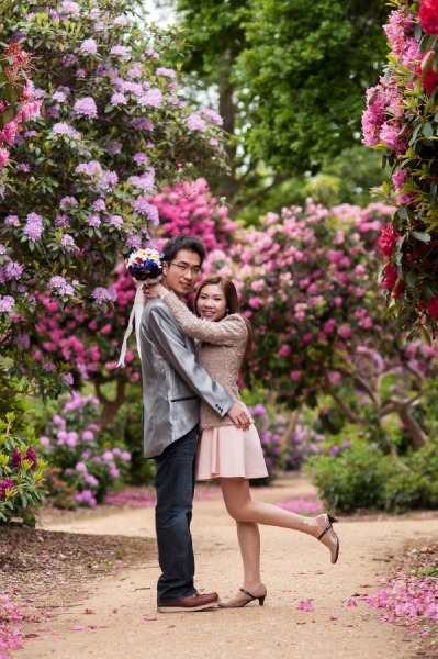  - Causal London Prewedding - Joserinu - , , -, , 歐洲, , , , , , 自然, 花田(如油菜花、波斯菊等)