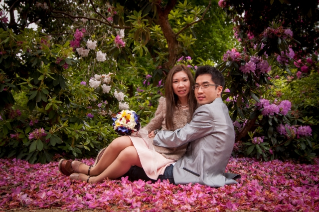  - Causal London Prewedding - Joserinu - , , -, , 歐洲, , , , , , 自然, 花田(如油菜花、波斯菊等)