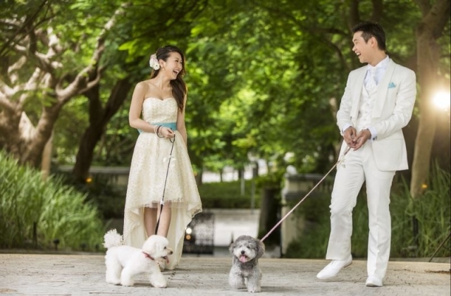  - Pre-wedding by Spring Wedding - seneria - Seneria, Eric, Spring Wedding, $45,001至$50,000, others, 淺水灣酒店, 比一般貴，不過值回票價, 不太濃，髪型很好, 沒有花球，一束新鮮花, , 自然, 海邊/湖泊