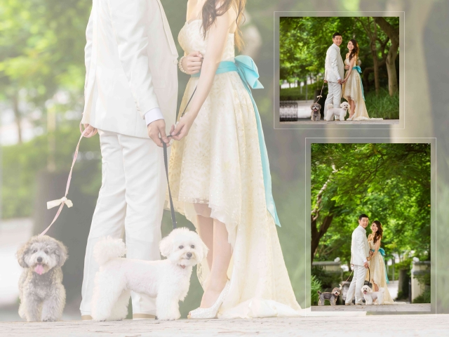  - Pre-wedding by Spring Wedding - seneria - Seneria, Eric, Spring Wedding, $45,001至$50,000, others, 淺水灣酒店, 比一般貴，不過值回票價, 不太濃，髪型很好, 沒有花球，一束新鮮花, , 自然, 海邊/湖泊