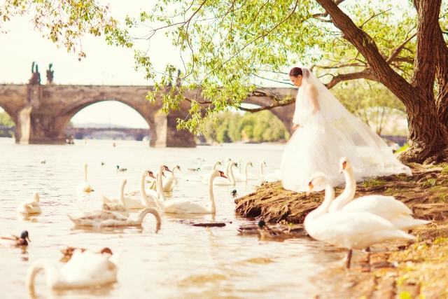  - Pre-Wedding - Paris & Prague - Kaydee媚 - , , LightedPixels Photography, , 歐洲, , , , , , 自然, 影樓/影城/攝影基地