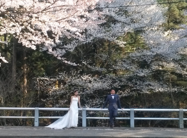  - PRE WEDDING - JEJU - Brittany - , , , , 韓國, , , , , , 自然, 青山綠草