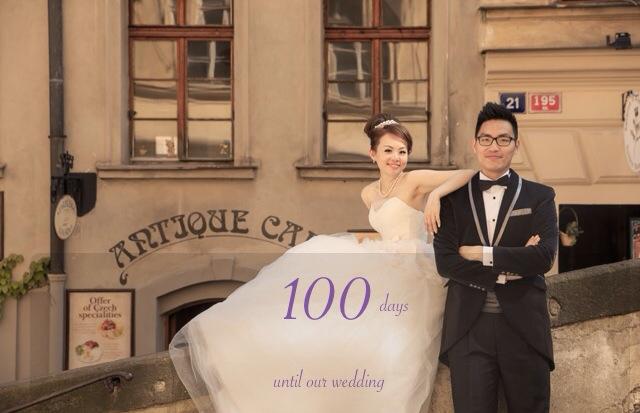 Wedding Countdown Apps: 100 Days to go~~~ Celebration + 66% 進度表