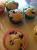 TODDLER BLUEBEERY MUFFIN