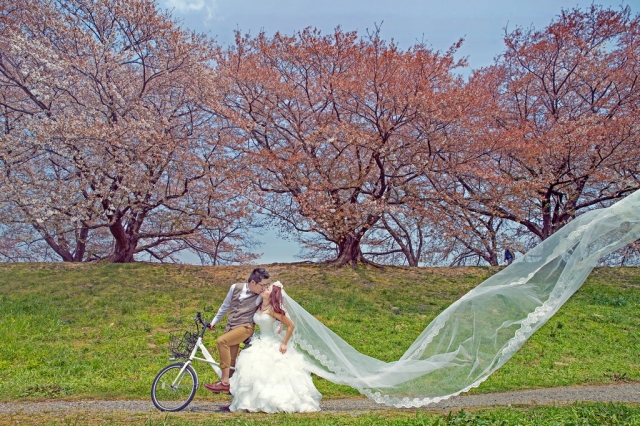  - C & C @ Kyoto - CHRISTY112 - Christy, Charles, Unique Momento Photography, $15,001至$20,000, 京都, , Oversea Pre-wedding, , , , 自然, 櫻花/紅葉