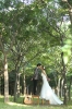 ~~完成BONG in SA korea Pre Wedding~~