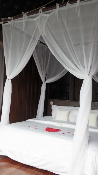  - Koh Samui - yvonne1011 - , , , , , , , , , , , 