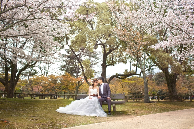  - 櫻花小鹿 Pre wedding - candyhendry - , , , $15,001至$20,000, others, 奈良, 所有相片, 執80張, 2本大相簿, 1幅油畫, 簡潔清雅的日韓妝容, , 便宜, 可以外租一星期到外地影相, 自然, 櫻花/紅葉