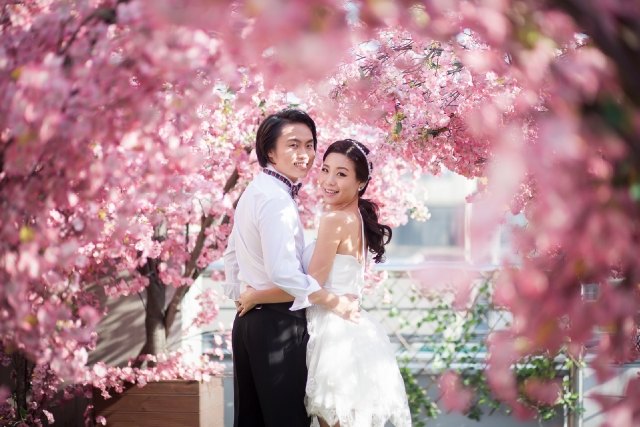  - 韓國pre-wedding原相 - Tuetbo - Phoebe Chan, Eddie Cheng, 韓國婚紗攝影, $25,001至$30,000, 韓國, , , 很用心，大愛, , 全手工造的婚紗, 好想全部帶晒返屋企!, 華麗, 影樓/影城/攝影基地