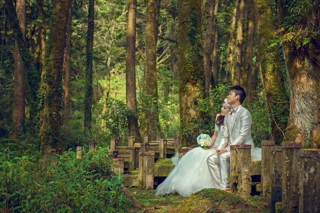  - 台中森林Prewedding - Plumbagocathy - , , , , , , , , , , , 