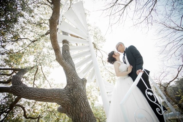  - Pre-wedding photo - Sophia420 - Sophia Lee, Franco Ho, , $10,001至$15,000, 台中, , NA, 很好, 我讓她自由發揮, 效果理想, NA, NA, 台式, 影樓/影城/攝影基地