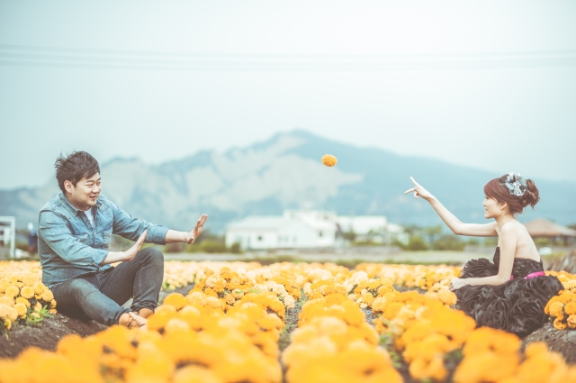  - 「愛不單行」的答案 - Jennyin - Jenny, Yin, 台中紅豆, $5001至$10,000, 台中, , , , , , 自然, 花田(如油菜花、波斯菊等)