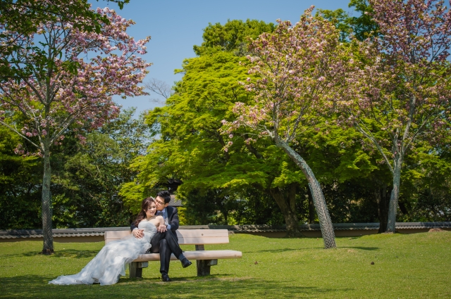  - Japan Kyoto Pre Wedding - CHING_CHONG - CHING, HO, , $15,001至$20,000, 京都, , 2 Days Kyoto Pre Wedding, 超級滿意，造型及化妝都非常合我心意。, , Package 內已包括婚紗禮服，所以唔駛再煩要搵衫, 自然, 櫻花/紅葉