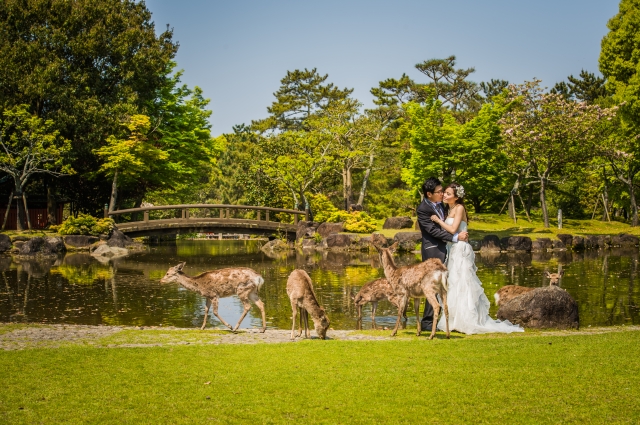  - Japan Kyoto Pre Wedding - CHING_CHONG - CHING, HO, , $15,001至$20,000, 京都, , 2 Days Kyoto Pre Wedding, 超級滿意，造型及化妝都非常合我心意。, , Package 內已包括婚紗禮服，所以唔駛再煩要搵衫, 自然, 櫻花/紅葉