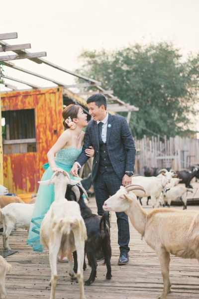  - HKPREWEDDING - kobeqblam - Catherine, YIU, , $15,001至$20,000, others, 大埔/元朗, , , , , 自然, 