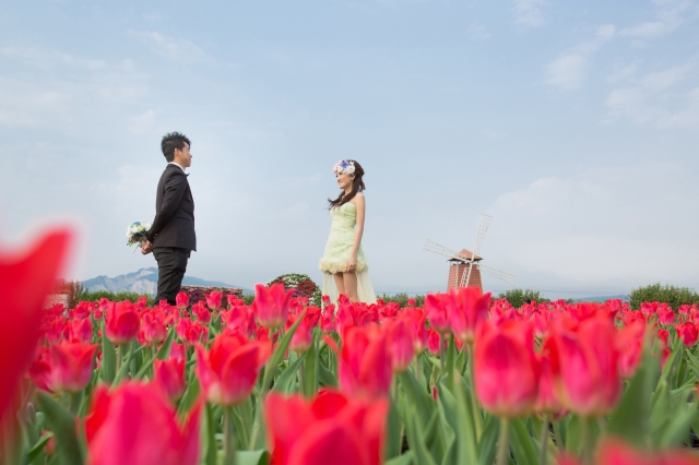  - 台中森林Prewedding - Plumbagocathy - Cathy, Heinz, Lisa Bella, $20,001至$25,000, 台中, , , , , , 自然, 青山綠草