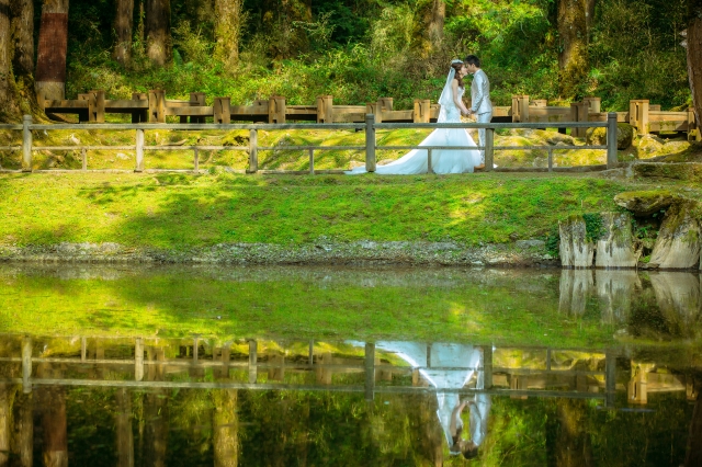  - 台中森林Prewedding - Plumbagocathy - Cathy, Heinz, Lisa Bella, $20,001至$25,000, 台中, , , , , , 自然, 青山綠草