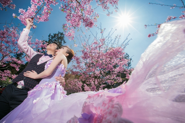  - 台中森林Prewedding - Plumbagocathy - , , , , , , , , , , , 