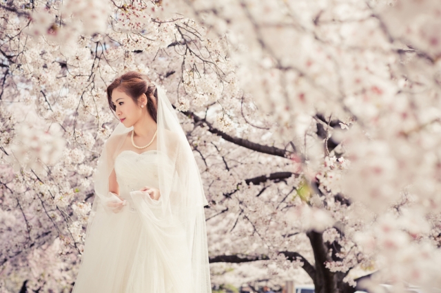  - prewedding - moneylee - , , , , , , , , , , , 