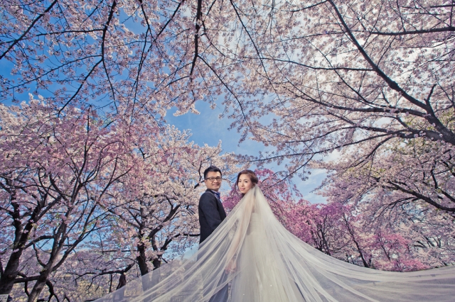  - prewedding - moneylee - , , , , , , , , , , , 