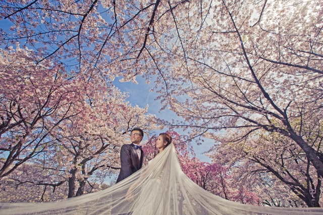  - prewedding - moneylee - , , , , , , , , , , , 