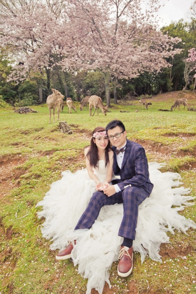  - prewedding - moneylee - , , , , others, , , , , , 自然, 寵物/毛公仔