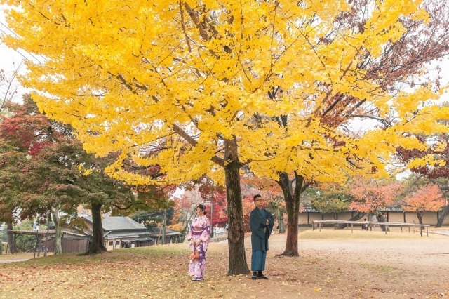  - Japan Nara Pre-wedding - Caroline_kwok - Caroline, Narco, , $15,001至$20,000, 京都, , , , , , 自然, 櫻花/紅葉