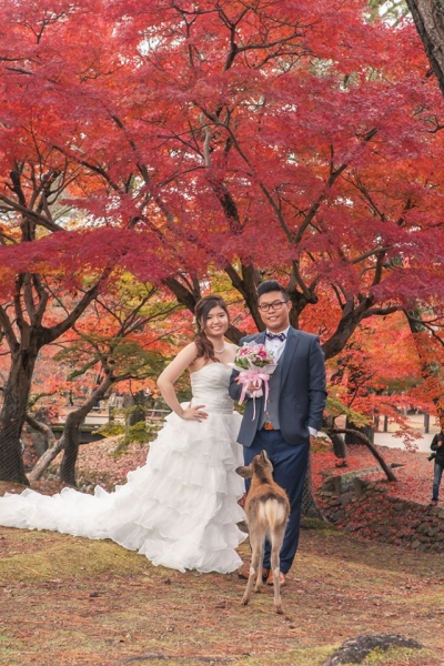 好難捕捉既一刻 - Japan Nara Pre-wedding - Caroline_kwok - Caroline, Narco, , $15,001至$20,000, 京都, , , , , , 自然, 櫻花/紅葉